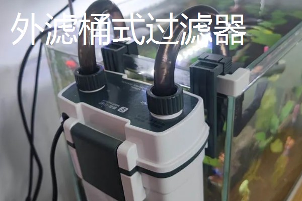 养鱼的过滤方法，可物理过滤或植物过滤等