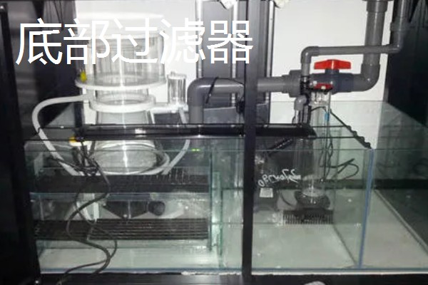 养鱼的过滤方法，可物理过滤或植物过滤等