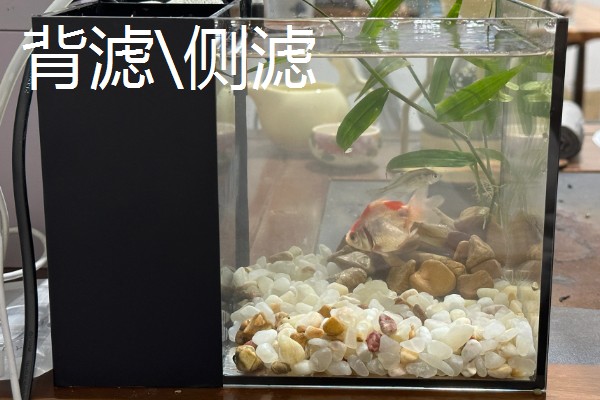 养鱼的过滤方法，可物理过滤或植物过滤等