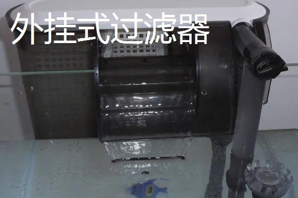 养鱼的过滤方法，可物理过滤或植物过滤等