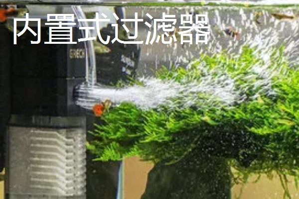 养鱼的过滤方法，可物理过滤或植物过滤等