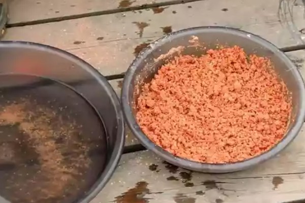 什么时候钓鲤鱼好，黄金时间是夏季