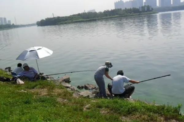 夏天适合钓鱼吗，建议在晴天的时候钓鱼