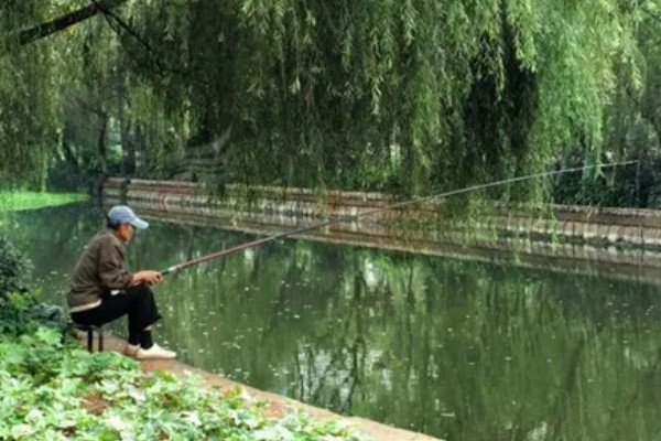 夏天适合钓鱼吗，建议在晴天的时候钓鱼