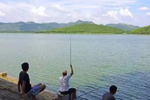 夏天适合钓鱼吗，建议在晴天的时候钓鱼
