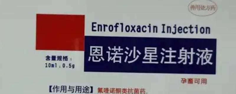 兽药恩诺沙星和什么药物搭配，与阿莫西林一起使用可以增强药效