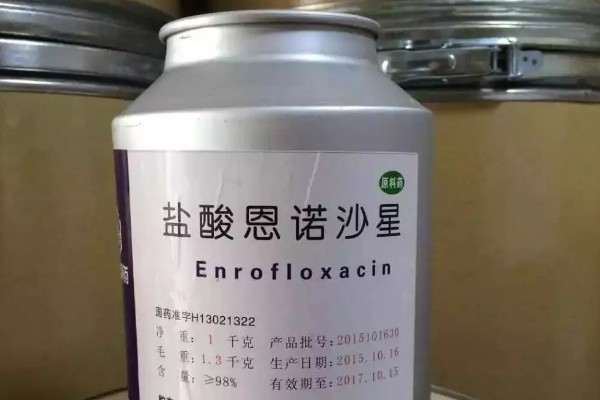 兽药恩诺沙星和什么药物搭配，与阿莫西林一起使用可以增强药效