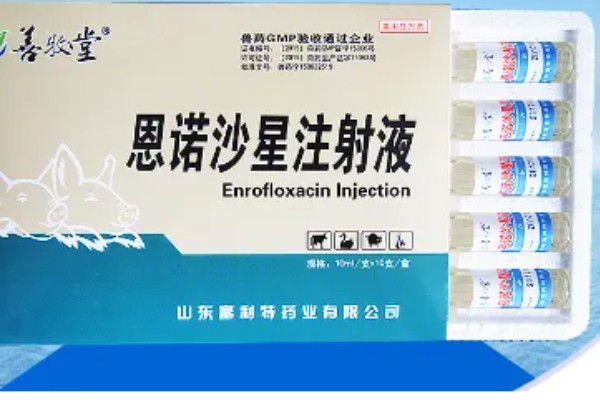 兽药恩诺沙星和什么药物搭配，与阿莫西林一起使用可以增强药效