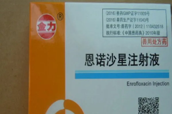 兽药恩诺沙星和什么药物搭配，与阿莫西林一起使用可以增强药效