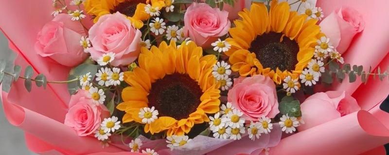 向日葵加粉玫瑰代表什么，寓意浪漫表白、青春活泼等