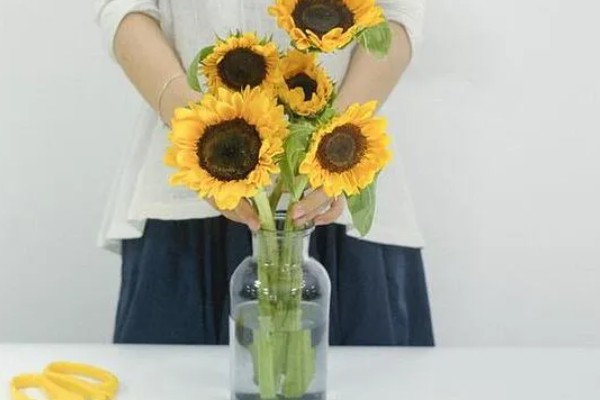 向日葵加粉玫瑰代表什么,寓意浪漫表白、青春活泼等