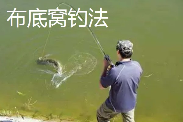 草鱼怎么钓，要打五斤至十斤重的大窝