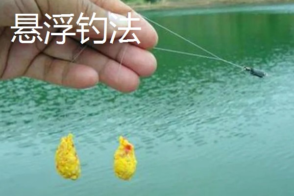草鱼怎么钓，要打五斤至十斤重的大窝