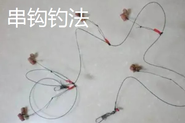 草鱼怎么钓，要打五斤至十斤重的大窝