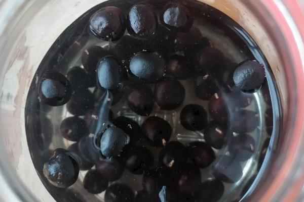 牡丹花种子怎样种，播种前需要温水浸种
