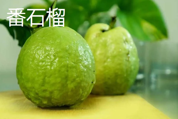 台湾有哪些水果，有释迦果、番石榴等