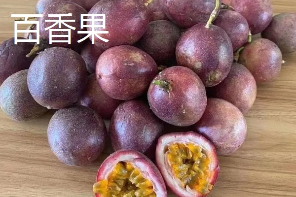台湾有哪些水果，有释迦果、番石榴等