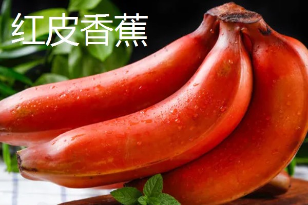 台湾有哪些水果，有释迦果、番石榴等
