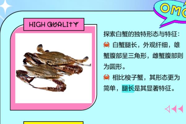 白蟹和梭子蟹有什么区别，二者没有区别只是叫法不同