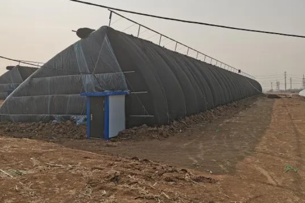 蔬菜病原病害与缺素症如何正确识别，可观察病症与土壤的关系