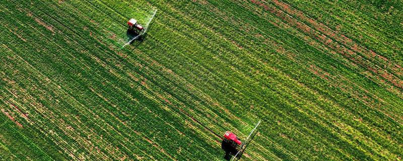小麦的除草时间，2月下旬至3月中旬除草为佳
