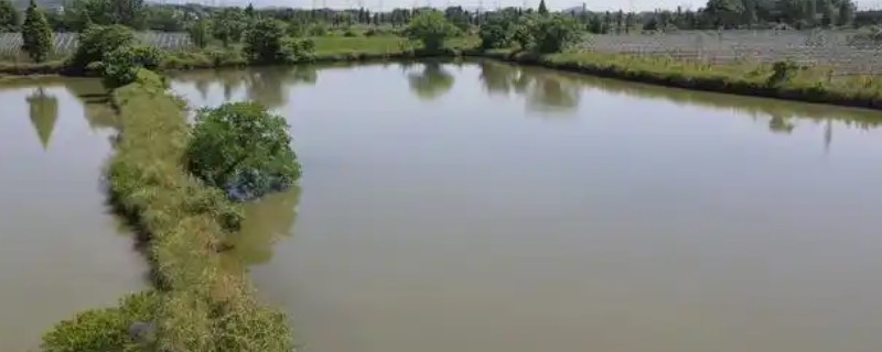 一亩鱼塘要放多少硫酸铜，通常需要根据水温而定