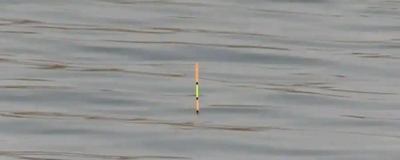 吃铅1.5的浮漂用多大的铅坠，重量一般来说不能超过1.5