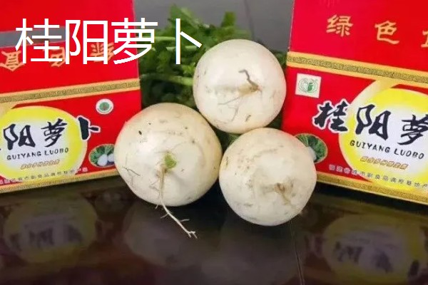 福建省三明市建宁县的特产，有通心白莲、黄花梨等