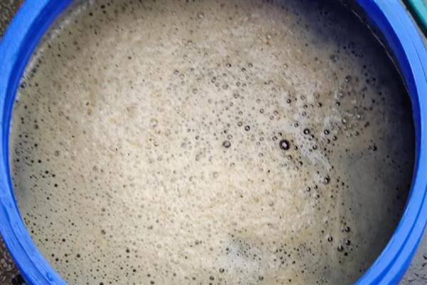 羊粪水怎样泡，比例为羊粪、水各一半左右