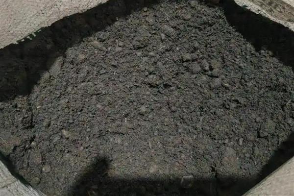 羊粪水怎样泡，比例为羊粪、水各一半左右
