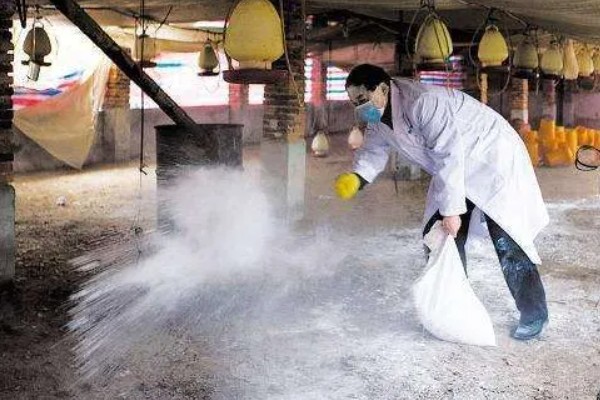 得了非洲猪瘟体温多少度,通常在40-42℃左右