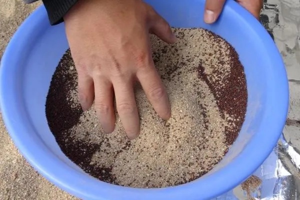 怎么种白芨，通常在3-5月份种植为佳