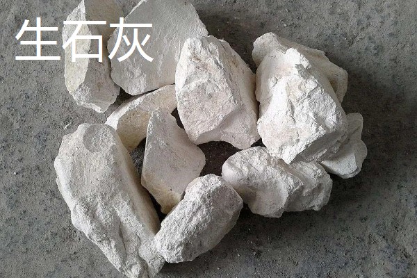 生石灰和熟石灰的区别是什么，成分和形态均不同