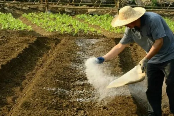生石灰和熟石灰的区别是什么，成分和形态均不同