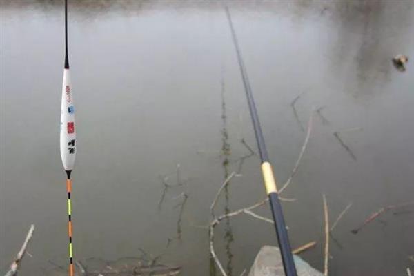 37调鱼竿很软吗，37调鱼竿属于硬调竿