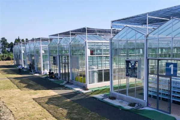 搭建大棚需要哪些材料，骨架材料有竹木杆、水泥杆等