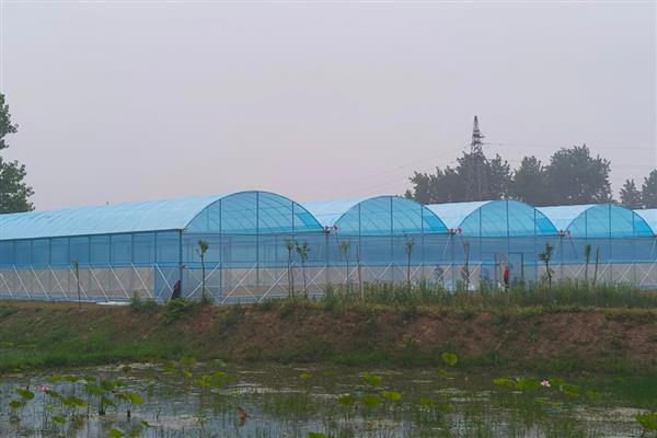 搭建大棚需要哪些材料，骨架材料有竹木杆、水泥杆等
