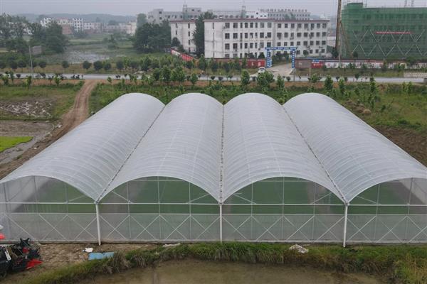 搭建大棚需要哪些材料，骨架材料有竹木杆、水泥杆等