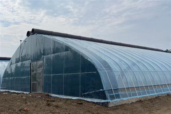 搭建大棚需要哪些材料，骨架材料有竹木杆、水泥杆等