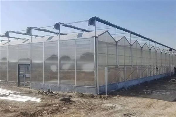 搭建大棚需要哪些材料，骨架材料有竹木杆、水泥杆等