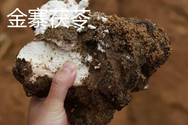 安徽省六安市金寨县的特产,有金寨猕猴桃、金寨天麻等