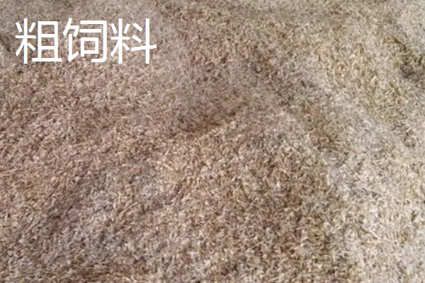 黄粉虫吃什么,可以吃精饲料、粗饲料等