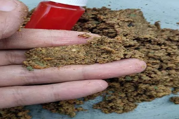 河里野钓用哪种鱼饵，推荐自然饵料、自制饵料等
