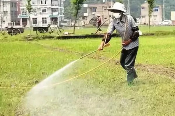 土蚕怎么杀死，通过除草的方法消灭