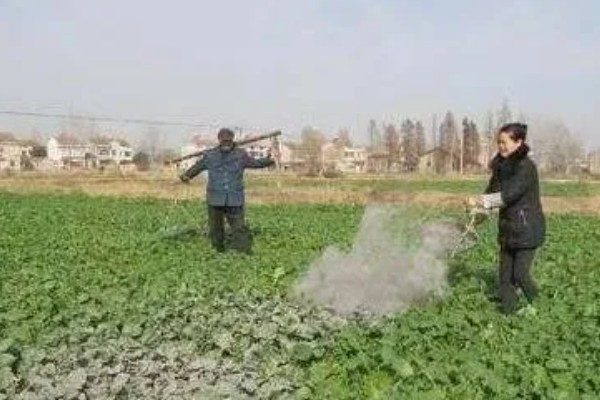 土蚕怎么杀死，通过除草的方法消灭