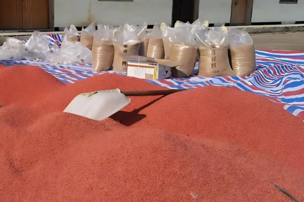小麦病虫害的种类，主要有以下4个种类