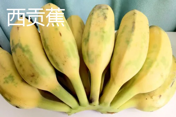 好吃的香蕉品种，有牙蕉、天宝蕉等