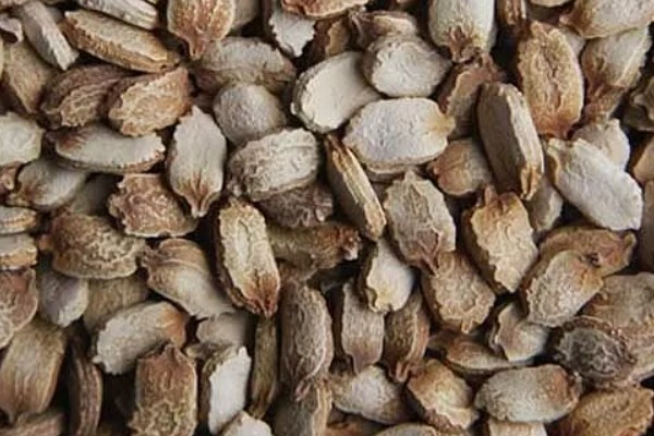 苦瓜什么时间种植，北方通常在3-4月温室种植
