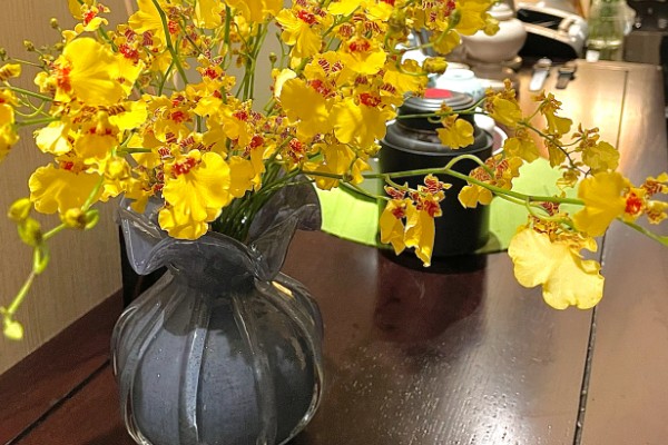 跳舞兰的花语，寓意快乐无忧、忘却烦忧等