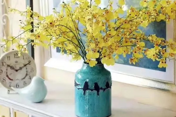 跳舞兰的花语，寓意快乐无忧、忘却烦忧等